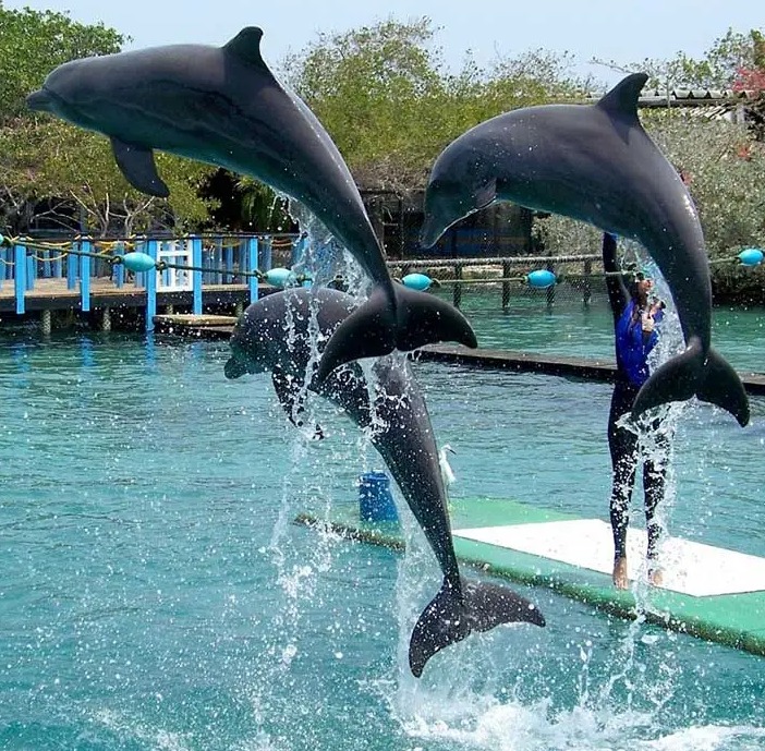 AVENTURAS 4 DESTINOS - Imagen 4