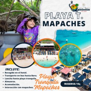 PLAYA TRANQUILA Y MAPACHES