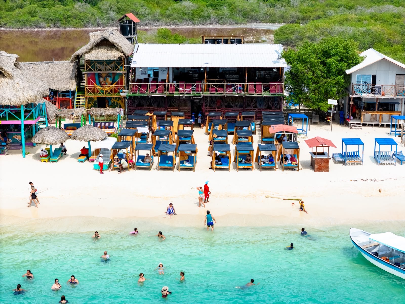 PLAYA TRANQUILA Y PLANCTON - Imagen 4