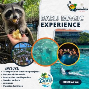 BARU MAGIC EXPERIENCE
